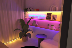 Projet_Loutre_Plan_3D_Studio-video_Camille-Gomez_Décoration-d-intérieur_Montpellier